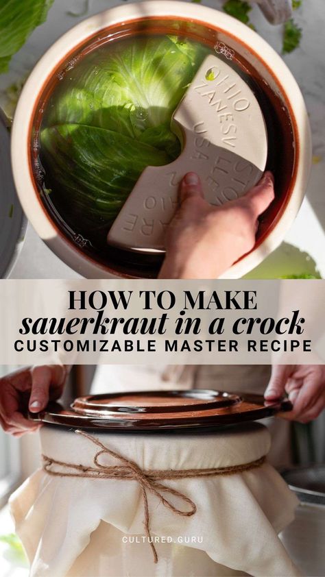 Learn how to make sauerkraut in a crock with our comprehensive master recipe. This step-by-step guide teaches you how to choose a crock, the best cabbages for fermenting sauerkraut, the best salt ratio for making sauerkraut in a crock, and our customizable master recipes for any gallon size fermentation crock. Make traditional sauerkraut or mix in other fruits and vegetables. #sauerkraut #crock #fermentation Homemade Sourkraut, Sourkrout Recipes, Fermenting Sauerkraut, Sauerkraut In A Crock, Sauerkraut Crock, Make Sauerkraut, Crock Meals, Making Sauerkraut, Best Salt