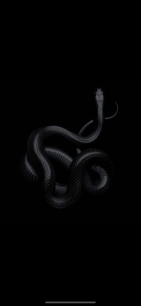 Black Snake Wallpaper Iphone, Black Mamba Snake, Instagram Black Theme, Pretty Snakes, Snake Wallpaper, Cute Snake, Snake Art, Slytherin Aesthetic, Trippy Wallpaper