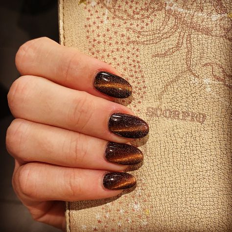 Brown Tiger Eye Nails, Tigers Eye Nails Polish, Dark Brown Cat Eye Nails, Brown Cateye Nail, Tiger Eye Nails Design, Tigers Eye Nails, Brown Cat Eye Nails, Tiger Eye Nails, Eid Nails