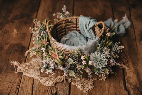 Wildflower Newborn Photography, Newborn Photography Flowers, Infant Photography Ideas, Boho Newborn Photography, Boho Newborn, Diy Newborn Photography, Baby Boy Newborn Pictures, Baby Backdrop, Baby Christmas Photos