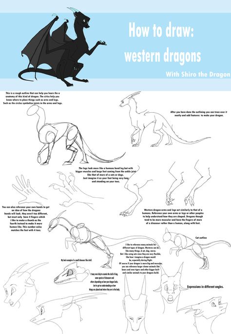 Dragon Anatomy Drawing, Dragon Paws, How To Draw Dragons, Dragons Wings, I Am Better, Dragon Poses, Dragon Anatomy, Paw Drawing, Tutorials Art