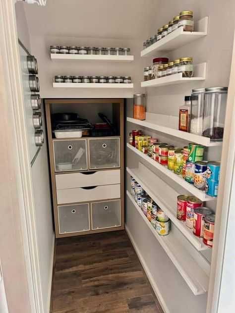 Under Stairs Closet Ideas, Stairs Closet Ideas, Ideas Under Stairs, Under Stairs Closet, Harry Potter Closet, Stairs Pantry, Under Stairs Pantry, Stairs Closet, Pantry Closet Design