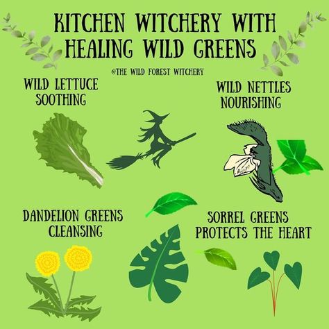 Green Kitchen Witch, Plant Witchcraft, Garden Witchcraft, Wild Witchcraft, Witchy Autumn, Hedge Witchcraft, Green Witchery, Magick Herbs, Kitchen Witchcraft