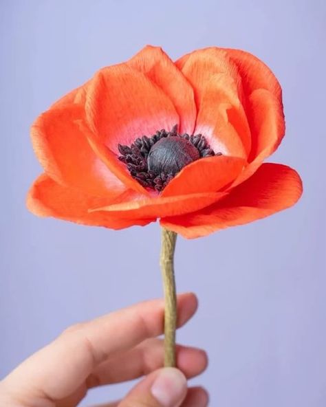 DIY Paper Flowers & Crafts on Instagram: "I can’t stop admiring these anemones. They are so delicate and realistic 🥰 At the same time they’re bright and cheerful❤️

Do you like them?" Diy Paper Flowers, Long Flowers, Paper Flowers Craft, Flower Party, Fabric Roses, Paper Flowers Diy, Diy Hair Bows, Crepe Paper, Diy Fabric