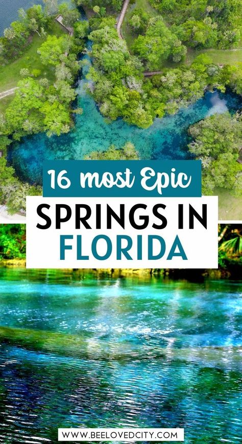 Florida Springs Map, Natural Springs In Florida, Springs In Florida, Travel Blogger Instagram, Usa Travel Map, Florida Pictures, Florida Travel Guide, Florida Map, Spring Camping