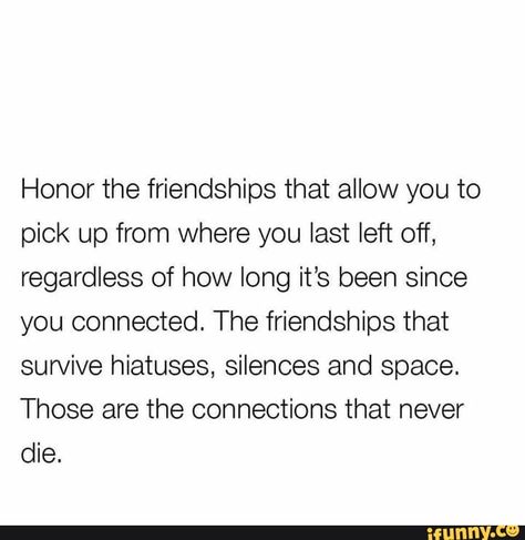 Honor the friendships that allow you to pick up from where you last left off, regardless of how long it’s been since you connected. The friendships that survive hiatuses, silences and space. Those are the connections that never die. – popular memes on the site iFunny.co #space #animalsnature #honor #friendships #allow #last #left #regardless #how #long #been #the #survive #hiatuses #silences #space #those #never #die #pic Suffocate Quotes, Rowing Quotes, Friendship Captions, Friendship Problems, Corny Quotes, True Friendships, Connection Quotes, Space Quotes, Life Mantras