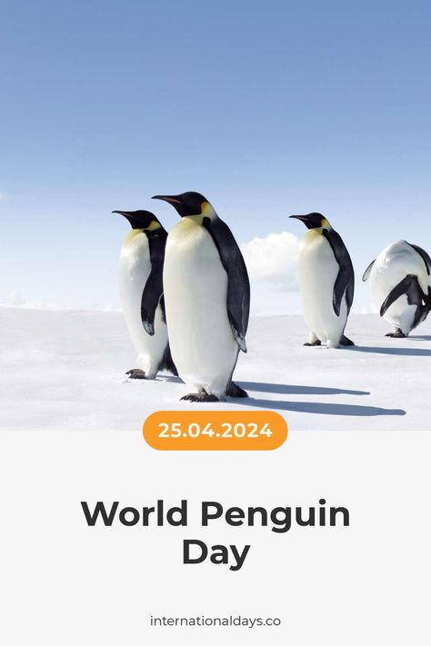 We must work to protect penguins and their habitats by reducing our plastic consumption and preventing oil spills. Mcmurdo Station, Penguin Day, Ross Island, Adelie Penguin, Wildlife Day, Research Center, April 25, Penguins