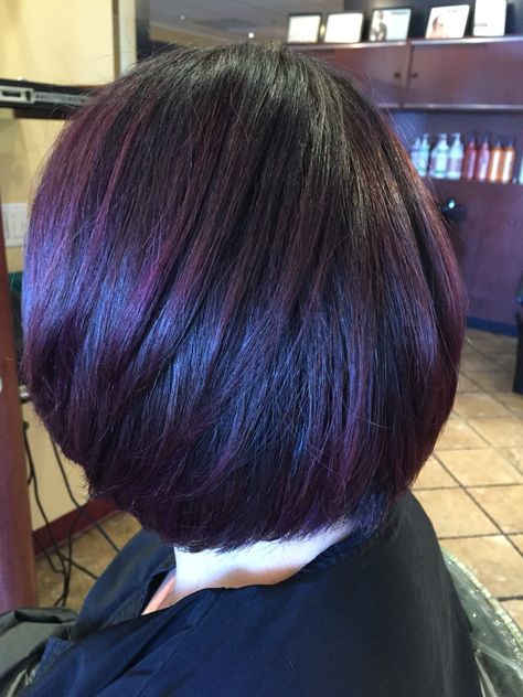 Cool dark base with a smokey purple balayage Andrea@profilodayspa Westboro ma Purple Black Hair Color Short, Hair Ideas Purple, Violet Brown Hair, Dark Hair Ideas, Fall Haircolor, Baylage Hair, Purple Balayage, Purple Ombre Hair, Short Dark Hair