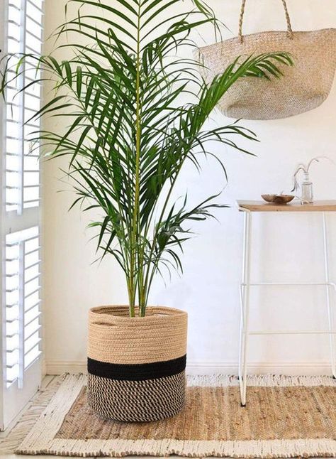 gifts for plant parents - sturdy jute rope plant basket Plant Bags, Cool Office Space, Hanging Plants Indoor, Plant Decor Indoor, Plant Basket, Hall Decor, House Plants Decor, Woven Basket, Indoor Planters