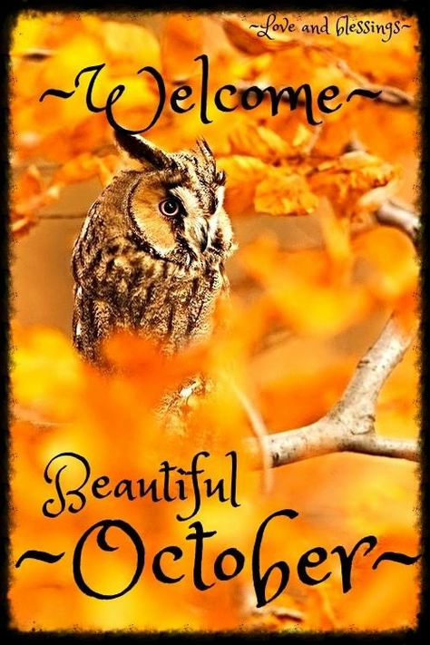 Welcome October Images, Hello October Images, October Images, October Pictures, Happy New Month Quotes, September Images, Welcome October, New Month Quotes, October Quotes