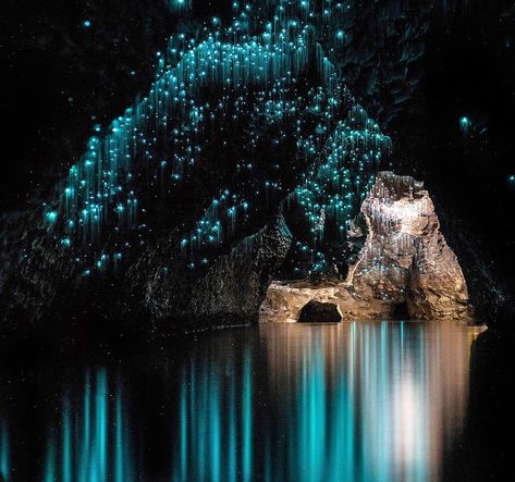 Glowworm Caves New Zealand, Waitomo Glowworm Caves, Glowworm Caves, Glow Worm Cave, Waitomo Caves, Underground Caves, Travel Comfort, New Zealand Travel, Dreamy Art