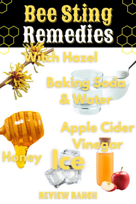 Bee Sting Remedies: Discover natural and effective ways to soothe the discomfort of a bee sting. From apple cider vinegar and baking soda paste to soothing aloe vera and calming honey, find relief for your symptoms with these home remedies. Bee Sting Remedies, Wasp Sting Remedy, Wasp Sting, Remedies For Bee Stings, Get Rid Of Wasps, Vinegar And Baking Soda, Wasp Stings, Lip Care Tips, Baking Soda Water