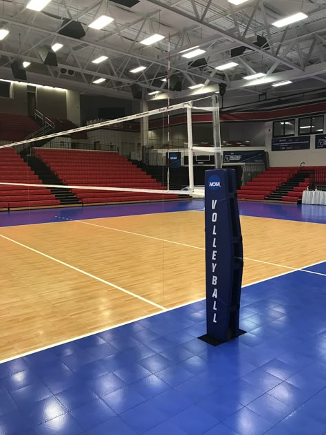 Outdoor Volleyball Net, Volleyball Backgrounds, Outdoor Volleyball, Volleyball Equipment, Volleyball Wallpaper, Usa Volleyball, Indoor Volleyball, Volleyball Court, Volleyball Photos