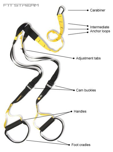 One Fitness company's explanation of TRX equipment and moves. Diy Trx Straps, Trx Workout Plan, Trx Straps, Trx Suspension Trainer, Core Workout Videos, Trx Suspension Training, Best Abdominal Exercises, Trx Suspension, Suspension Trainer