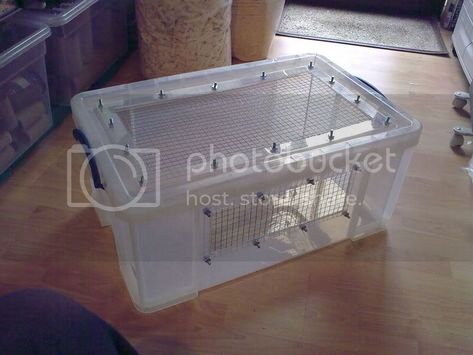 Breeding Rats, Bin Cage, Hamster Bin Cage, Hamster Diy Cage, Hedgehog Cage, Hamster Stuff, Mouse Cage, Cage Hamster, Hamster Diy