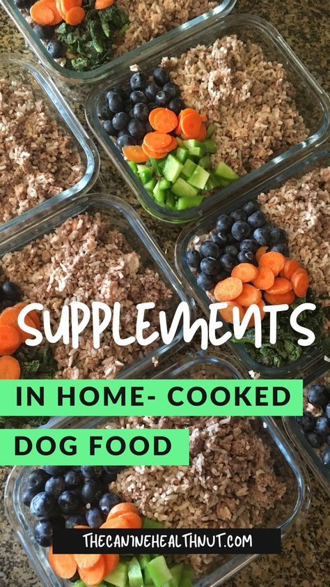 Add To Dog Food, Cooking For Dogs, Cooked Dog Food, Raw Feeding For Dogs, Freeze Dried Dog Treats, Home Cooked Dog Food, Dog Food Recipe, Senior Dog Food Recipes, Diy Dog Food