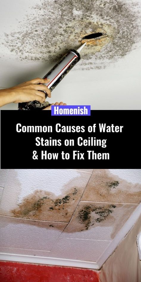 How To Cover Water Stains On Ceiling, Ceiling Water Stain Repair, Water Stains On Ceiling, Water Stain On Ceiling, Water Damaged Ceiling, Ceiling Leak, Wall Stains, Simple Coat, Drop Ceiling Tiles