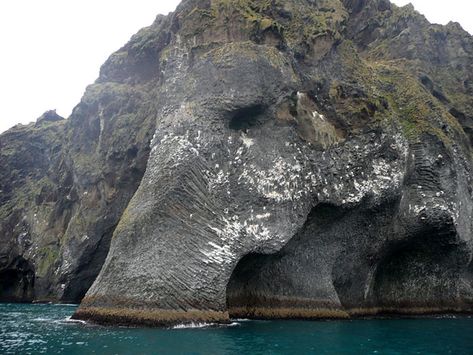 Giant Sea Elephant Emerges From The Ocean In Iceland | Bored Panda Sea Elephant, Elephant Rock, Amazing Travel, Natural Rock, An Elephant, Rock Formations, Back To Nature, Nature Landscape, A Rock