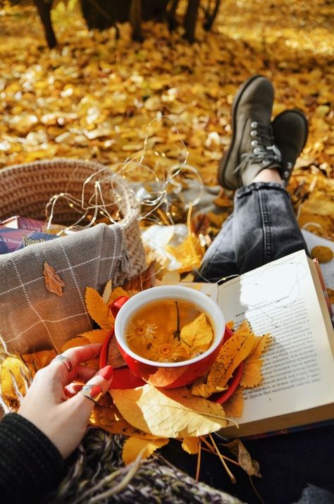 Autumn Photography Portrait, Fall Picnic, Fall Portraits, Fall Reading, Tea And Books, Autumn Magic, Autumn Scenes, Coffee Photography, Fall Photoshoot