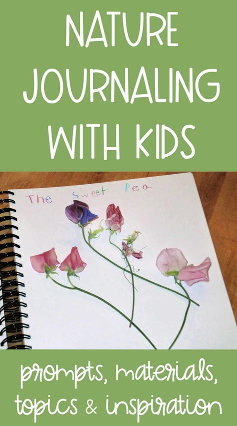 Nature Journal Prompts, Nature Journal Ideas, Elementary Language Arts Activities, Nature Lessons, Nature Club, Homeschool Nature Study, Homeschool Nature, Field Journal, Nature Journals