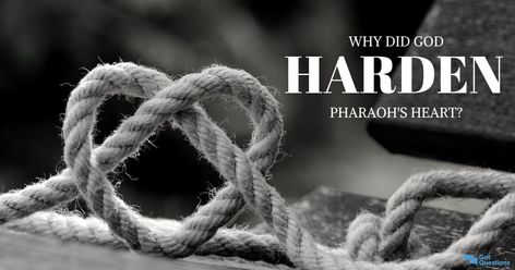 Why did God harden Pharaoh’s heart? Was it unjust for God to harden the heart of Pharaoh and then punish Egypt for what Pharaoh did as a result of his hardened heart? Hardened Heart, Book Of Exodus, S Heart, Christian Faith, Bible Study, Egypt, Bible