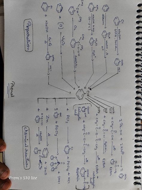 Chemistry 12 Notes, Alcohol Phenol Ether Short Notes, Organic Chemistry Short Notes, Biomolecules Notes Chemistry Class 12, Alcohol Phenol Ether Mind Map, Halogen Derivatives Class 12, Biomolecules Notes Chemistry, Alcohol Phenol Ether Notes, Organic Chemistry Cheat Sheet Class 12