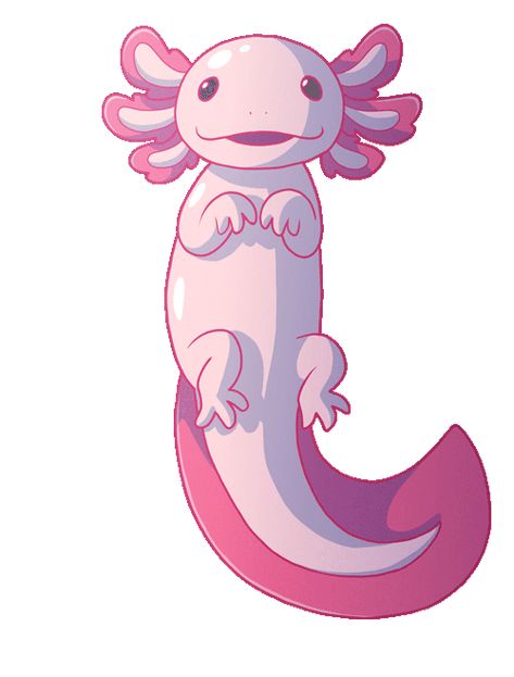 Axolotl Cute, Cute Kawaii Animals, Cute Animal Drawings Kawaii, Drawing Videos, Cute Animal Drawings, Kawaii Drawings, Cute Gif, 귀여운 동물, Creature Art