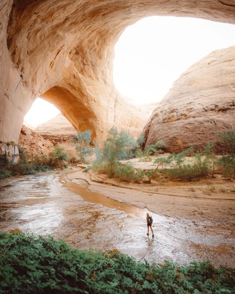 Desert Scenes, Desert Aesthetic, River Rock Landscaping, Glen Canyon, Rock Landscaping Ideas, Palermo Sicily, Camping Van, Rock Landscaping, Adventure Lifestyle