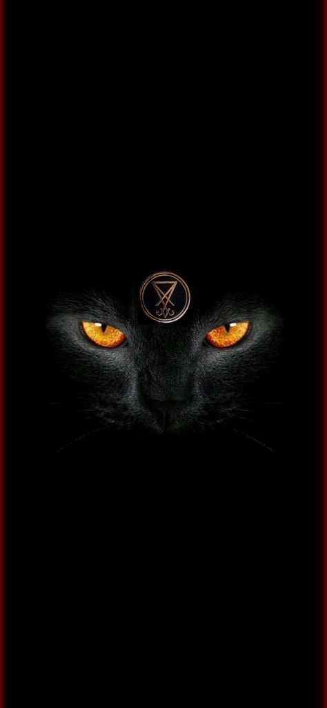 Lucifer Wallpaper, Demon Cat, Pro Wallpaper, Huawei P30 Pro, Witch Magic, Cat Wallpaper, Creative Art, Royalty, Witch