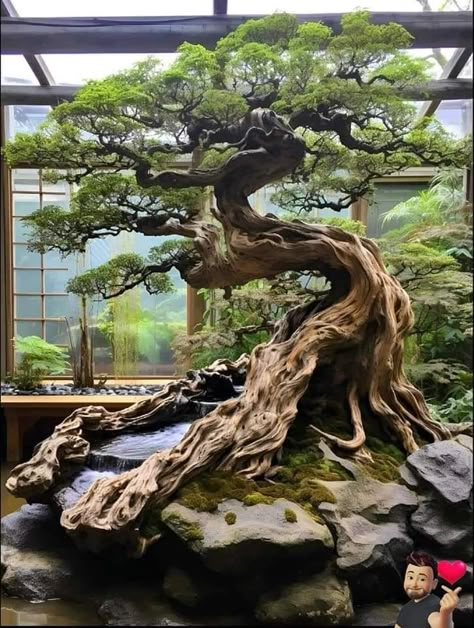 Japanese Bonsai Tree, Tree Types, Bonsai Forest, Bonsai Tree Types, Bonsai Techniques, Mame Bonsai, Japanese Garden Landscape, Succulent Bonsai, Bonsai Ideas