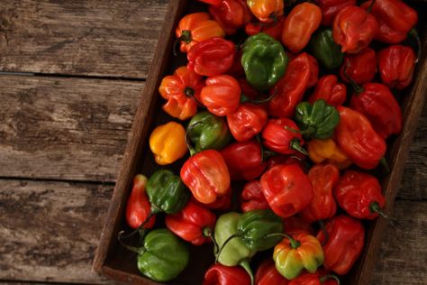 What's A Good Scotch Bonnet Pepper Substitute? - PepperScale Jamaican Desserts, Jamaican Patty, Bbq Pig, Jamaican Cuisine, Jamaican Dishes, Scotch Bonnet Pepper, Ground Chicken Recipes, Caribbean Cuisine, Scotch Bonnet