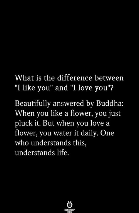 What Is The Difference Between "I Like You" And "I Love You"? Beautifully Answered By Buddha #beauty #treatments #beautytreatments Relationship Rules is a modern-age lifestyle/love blog that discusses everything from breakups to being amazing parents. Age Difference Quotes, Age Difference Relationship, Good Evening Messages, Funny Quotes In Hindi, Aging Quotes, And I Love You, Snapchat Quotes, Age Difference, Funny Quotes Sarcasm