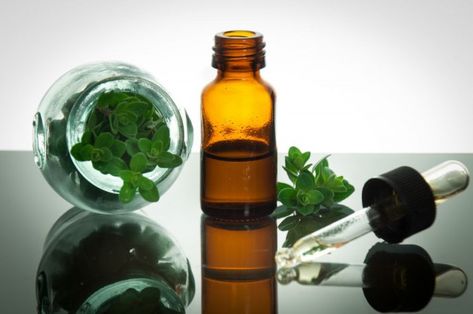 The Healing Power of Oregano | The Yinova Center Home Remedies For Asthma, Oregano Oil Benefits, Oregano Plant, Origanum Vulgare, Oils For Sinus, Natural Asthma Remedies, Asthma Remedies, Oregano Essential Oil, Candida Albicans