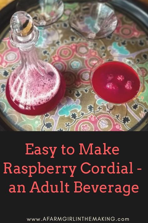 old fashion raspberry cordial - a sweet cocktail sipper for adults Preserve Raspberries, Rum Old Fashioned, Raspberry Cordial, Sweet Cocktail, Homemade Irish Cream, Cordial Recipe, Sweet Bourbon, Homemade Liquor, Premium Vodka