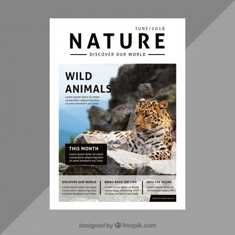 Nature Magazine Cover Design, Nature Editorial Design, Nature Book Cover, Nature Magazine Cover, Front Page Magazine, Nature Magazine, Magazine Cover Page, Magazine Cover Ideas, Magazine Design Cover