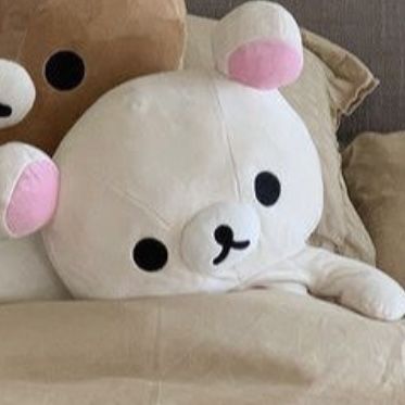 Pfp Rilakkuma, Rilakkuma Plushie, Rilakkuma And Korilakkuma, Sanrio Pfp, Rilakkuma Wallpaper, Anime Matching Icons, Funny Items, Navy Wallpaper, Best Anime Couples