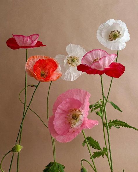 Poppy Flower Bouquet, Design Garden Ideas, Icelandic Poppies, Paper Flower Art, Aesthetic Garden, Easy Landscaping, Garden Aesthetic, Poppy Flowers, Flower Therapy