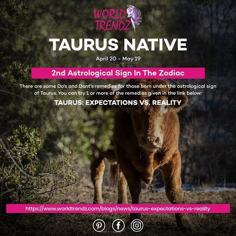 Taurus Native (April 20 - May 19); 2nd Astrological Sign In The Zodiac Tauruans are very patient and perseverance individuals and it works well for their growth and development. They are very good at accumulating and hoarding money in no time. There are some Do's and Dont’s remedies for those born under the astrological sign of Taurus. You can try 1 or more of the remedies given in the link below: Taurus: Expectations vs. Reality https://www.worldtrendz.com/blogs/news/taurus-expectations-vs-re Expectations Vs Reality, Growth And Development, Astrological Sign, April 20, Astrology Signs, Spiritual Journey, Nativity, It Works, Money