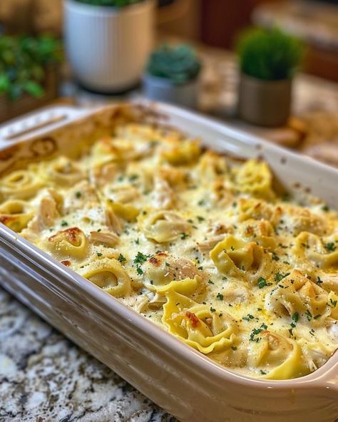 I took this to a potluck and it disappeared in minutes—everyone was after the recipe! Easy Pasta Party Dishes, Birthday Party Casseroles, Italian Pasta For A Crowd, Single Serving Casserole Recipes, Main Dish For A Potluck, Easy Dinners For A Crowd Large Families, Great Casseroles Dinners, Best Covered Dish Ideas, Potluck Casserole Ideas