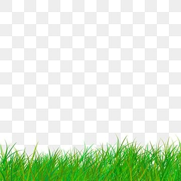 Green Grass Png, Grass Png, Grass Clipart, Green Grass Background, Indian Flag Images, Footer Design, Grass Background, Blur Photo Background, Photo Background Images Hd