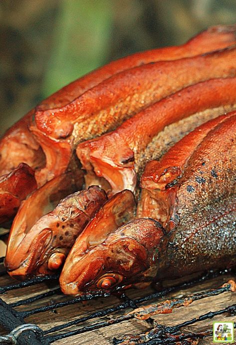 Smoked Trout Recipe | This Mama Cooks! On a Diet Trout Recipes Smoked, Smoked Rainbow Trout, Smoked Rainbow Trout Recipes, Smoked Trout Recipes, Sea Trout Recipe, Smoked Trout Brine Recipe, Smoked Alligator Recipe, Smoked Lake Trout Recipe, Trout Brine Recipe