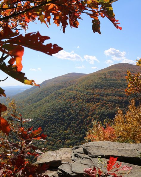 Welcome October, the most beautiful month of the year! 🍁 According to the New York State fall foliage report, much of Upstate hit mid-point fall foliage this week, which means now is the perfect time to escape NYC. In today’s Escape Club 📬 find 10-30% off room rates, dining credits, spa credits and gift bags for Escape Club guests. For the snow bunnies amongst us, plan ahead with one hotel who’s offering a $4k all-winter stay, close to the slopes. Sign up or visit the Escape Club at the l... Upstate Ny Aesthetic, New York Fall Aesthetic, Upstate New York Winter, Upstate New York Aesthetic, Upstate New York Fall, Welcome October, Beacon New York, 2025 Prayer, One Hotel