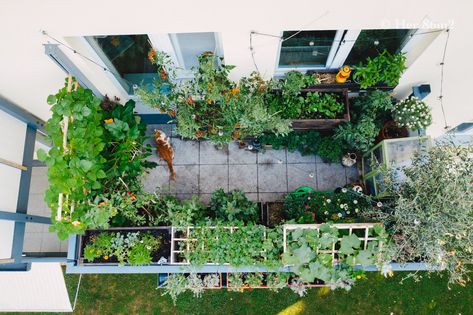 Balcony Vegetable Garden, Ideas Terraza, Thuy Dao, Her 86m2, Rooftop Garden, Apartment Garden, Apartment Balconies, Small Balcony, Balcony Garden