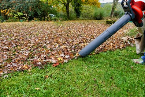 Don't Let Raking Leaves Take Over Your Weekend—15 Tips to Clean Up Leaves Like a Pro Leaf Clean Up, Wet Leaves, Raking Leaves, Yard Maintenance, Leaf Blowers, Yard Waste, Dry Leaf, Rainy Weather, Leaf Blower