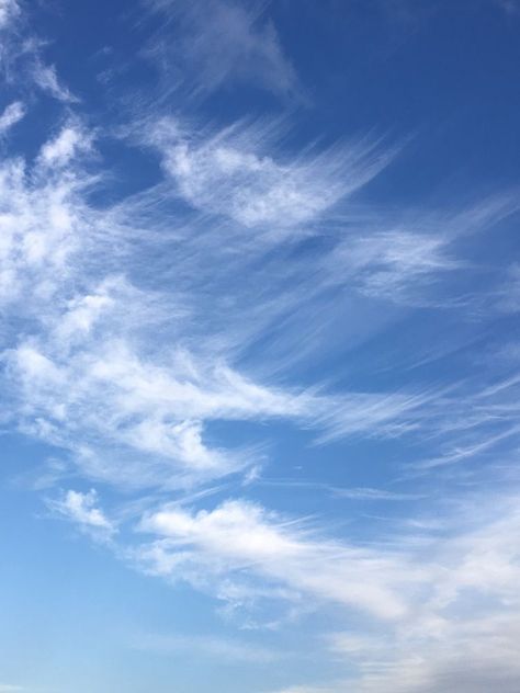 Cirrus Cloud, Air Photography, Single Tree, Landscape Elements, Greek Gods, Riga, Character Aesthetic, Photo Reference, Sky Aesthetic