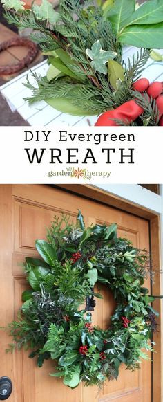 How to make a fresh evergreen wreath for the holidays Make A Christmas Wreath, Natural Christmas Wreaths, Evergreen Christmas, Fresh Wreath, Holly Wreath, Evergreen Wreath, Christmas Wreaths To Make, Natural Christmas, Xmas Wreaths