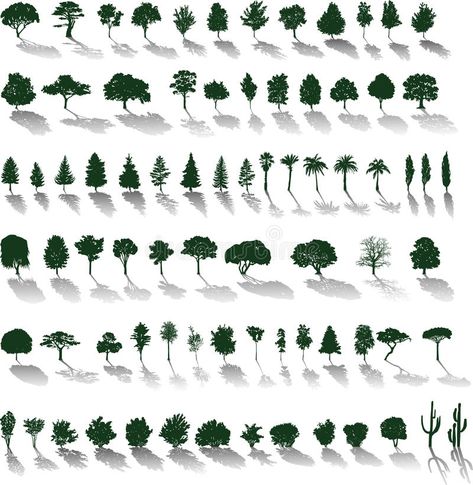 Tree Illust, Trees Reference, Shadow Drawing, Tree Wall Murals, Summer Tattoo, Garden Illustration, Vector Trees, Trendy Flowers, Tree Silhouette