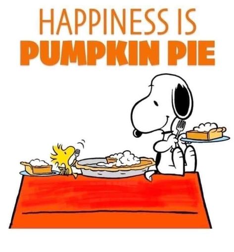 Snoopy Holidays, Snoopy Thanksgiving, Holidays Pictures, Snoopy Gif, Thanksgiving Snoopy, Goodnight Snoopy, Peanuts Thanksgiving, Beautiful Holidays, Snoopy Beagle