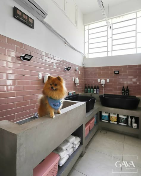 Dog Grooming Salon Decor, Dog Tub, Pet Grooming Shop, Pet Store Design, Dog Boarding Facility, Pet Store Ideas, Pet Grooming Salon, Puppy Room, Dog Grooming Shop