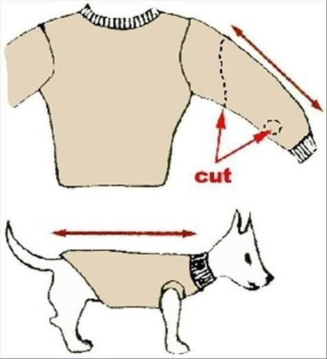 How To Turn Old Sweaters and Sweatpants Into No-Sew Dog Sweaters in 5- Sew Dog Clothes, Diy Dog Sweater, Dog Clothes Patterns Sewing, Dog Coat Pattern, Dog Sewing Patterns, Dogs Clothes, Dog Sweater Crochet Pattern, Dachshund Clothes, Dog Sweater Pattern